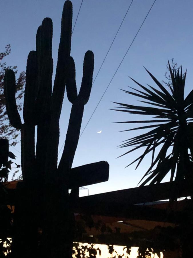 La Casita Del Cactus - Casa De Campo Con Piscina Alcalá de Guadaira Extérieur photo