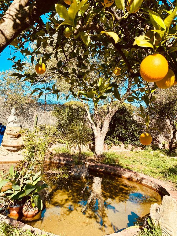 La Casita Del Cactus - Casa De Campo Con Piscina Alcalá de Guadaira Extérieur photo